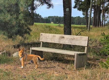 eine schöne Bank nach etwa 3km